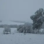 Novohradsky Raj Aneb Oaza Klidu Na Samote U Lesa アパート *