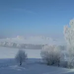 Novohradsky Raj Aneb Oaza Klidu Na Samote U Lesa