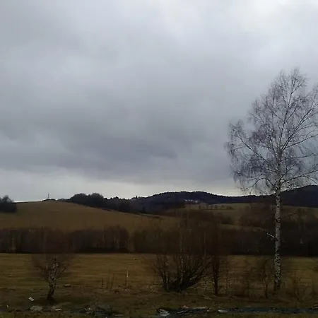 Novohradský Ráj Aneb Oáza Klidu Na Samotě U Lesa Appartamento Benesov nad Cernou