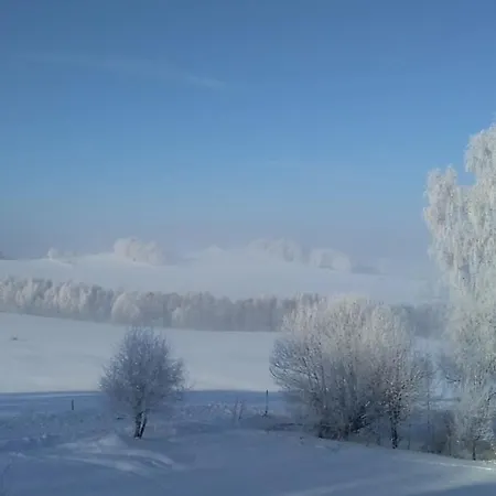 Novohradský Ráj Aneb Oáza Klidu Na Samotě U Lesa