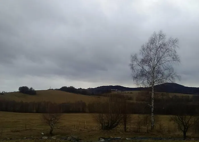 Novohradsky Raj Aneb Oaza Klidu Na Samote U Lesa Daire Benesov nad Cernou
