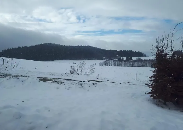 Novohradsky Raj Aneb Oaza Klidu Na Samote U Lesa * Benesov nad Cernou