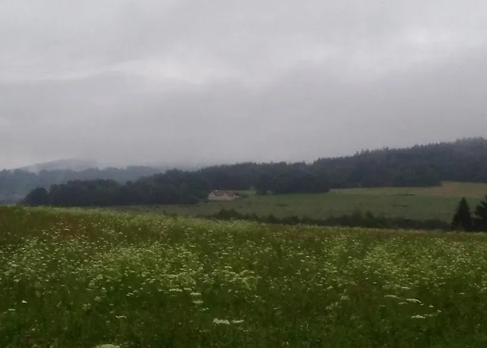 Novohradsky Raj Aneb Oaza Klidu Na Samote U Lesa * Benesov nad Cernou
