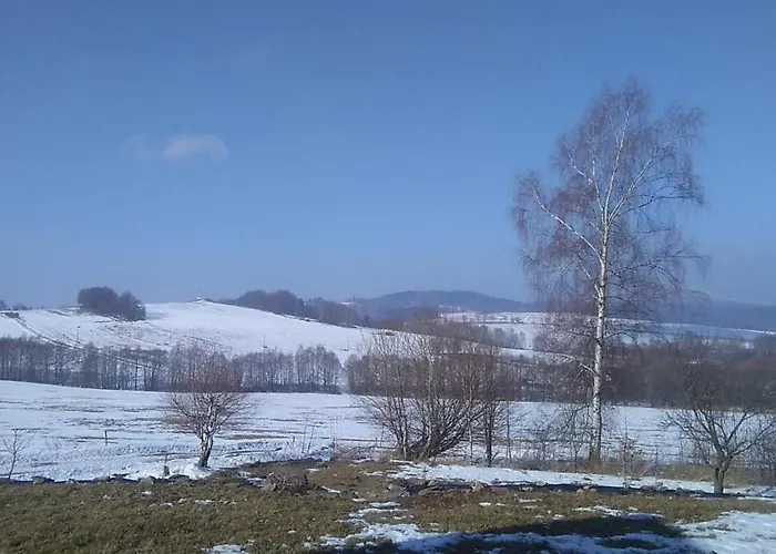 Daire Novohradsky Raj Aneb Oaza Klidu Na Samote U Lesa Benesov nad Cernou